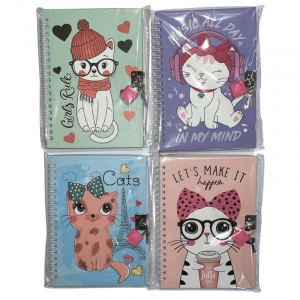 Diario intimo 13×18 con candado paq.x4 unidades