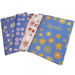 Agenda/Perpetua 15,5x21 Paq.x12