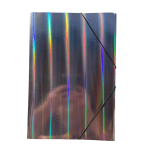 Carpeta oficio holográfica c/elastico Paqx12