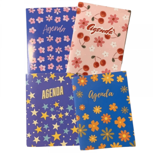 Agenda Perpetua Pack x12