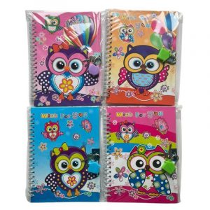 Diario Íntimo c/Candado Búho Pack x4